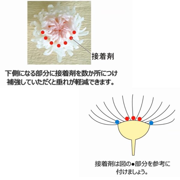 大地農園！ プリザーブドフラワー 「輪菊・中 白 6輪(1箱)」プリザ