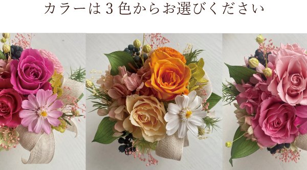 送料無料(北海道・沖縄は追加料金あり)】☆ティナ☆母の日 