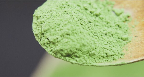 日本茶 お茶 茶葉 福岡県産 抹茶 【八女茶物語 瑞雲】 30g×2缶セット