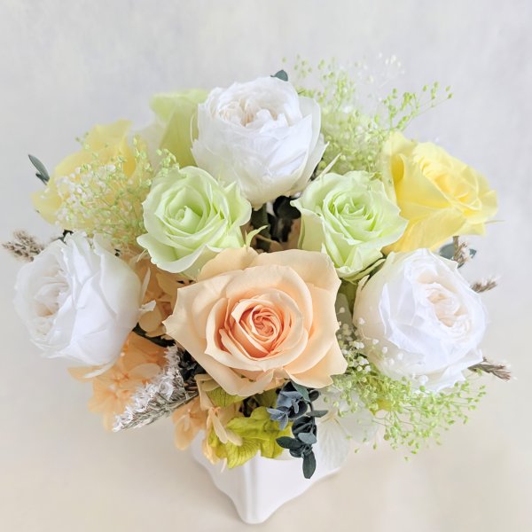 ✨大人気✨陶器（バラ＆アスター＆ポンポン菊プリザーブドフラワー✨クリアケース付き プリザーブドフラワー／ふんわりと明るく優しい薔薇たちの白い陶器