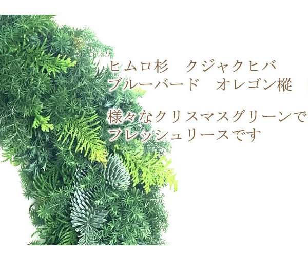 クリスマスリース　フレッシュ 生花]フレッシュクリスマスリースL - 【花と雑貨ギフト フローラル