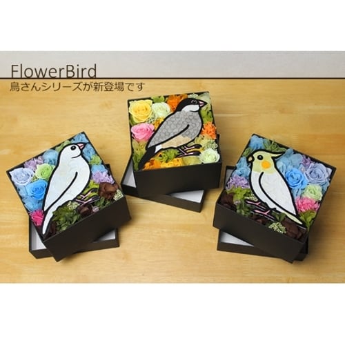 フラワーリース&文鳥さん Flower Bird」プリザーブドフラワー 母の日 ギフト プレゼント 文鳥