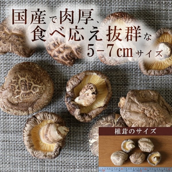 肉厚 大玉どんこ】 国産 干し椎茸 特選大玉 どんこ 200g 原木 原木栽培