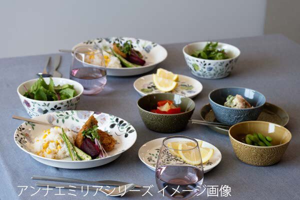 アンナエミリア ボウル 14cm 3点セット 電子レンジ温め 食洗機対応