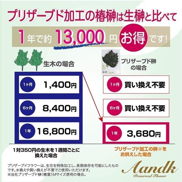 国産プリザーブド 榊(椿)Mサイズ一対 枯れない サカキ 水やり不要 お盆