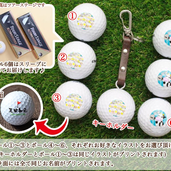 即日対応可＞ 名入れゴルフボール【「十二支デザイン」ボール6個