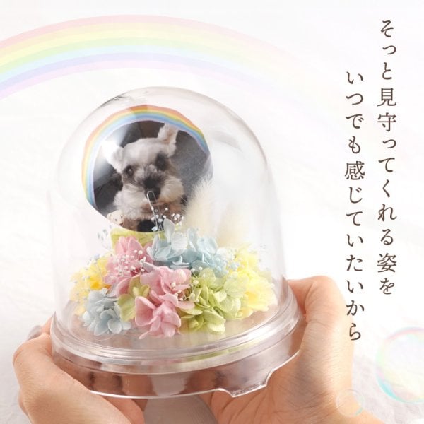 送料無料 】【ペットちゃんの虹の橋・メモリーポット】ペット お供え