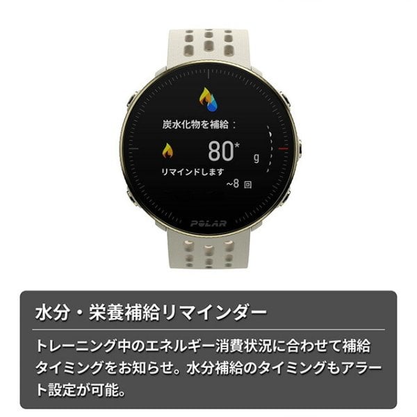 ポラール Vantage M2 スマートウォッチ メンズ レディース GPS 