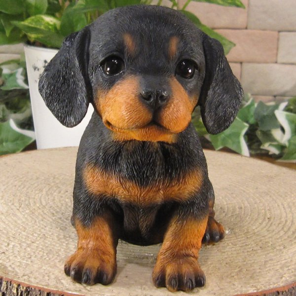 犬 置物 リアル 仔ダックスフンド ブラックタン お座り Bタイプ いぬ