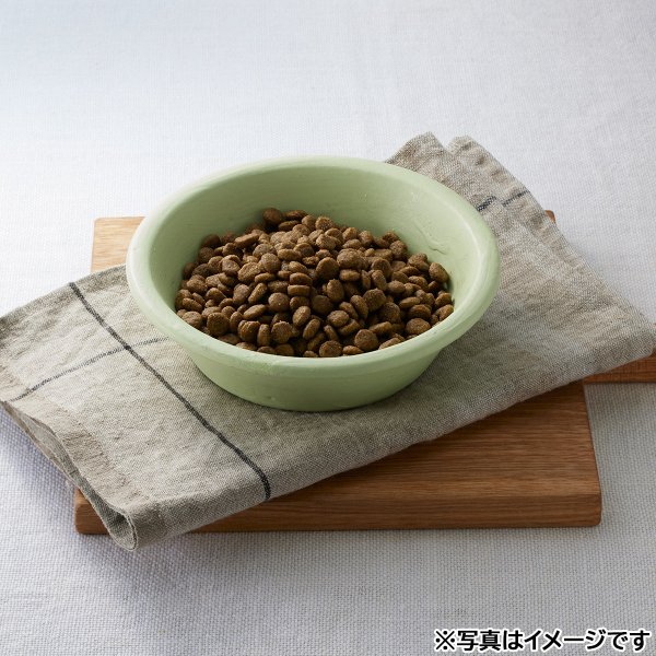 ソルビダ SOLVIDA ドッグフード グレインフリー チキン 室内飼育体重