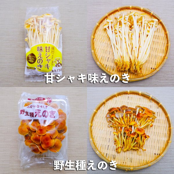 新鮮生きのこセット 大 6種類 各1パック（6パック） 長野県須坂市産
