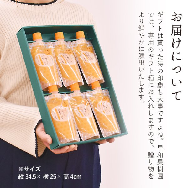 敬老の日 誕生日 スムージー ギフト 飲むゼリー 子供 パウチ 温州