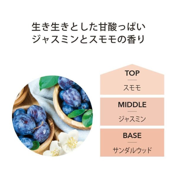 アシュレイ＆バーウッド フレグランスオイル ジャスミン＆ダムソン