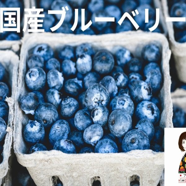KIMONO FRUITS】冷凍ブルーベリー国産 1kg（茨城県かすみがうら市産産