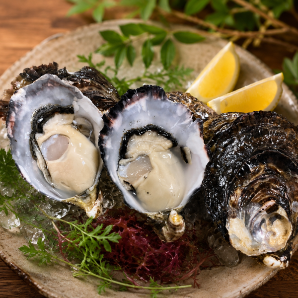 岡山産 殻付き牡蠣 3kg (約80g×38個前後)生食用 三倍体 真牡蠣 ナイフ