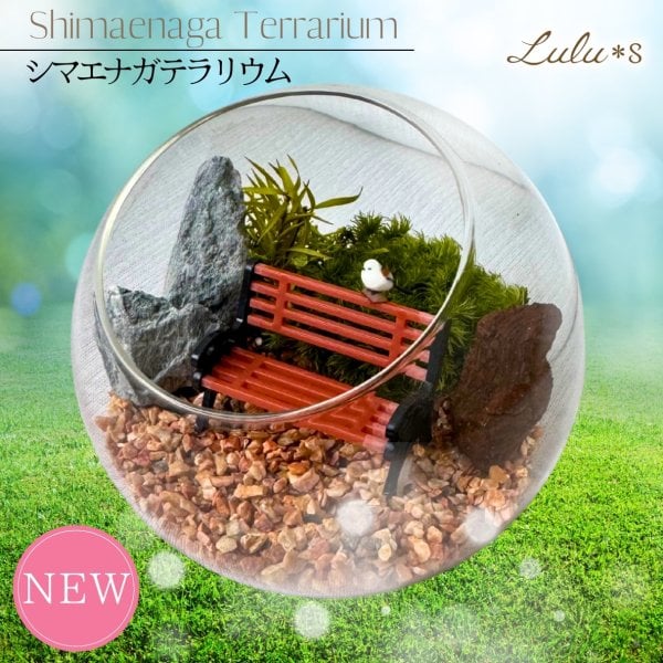 水やり不要 】 シマエナガ テラリウム プリザーブドモス 苔 観葉植物