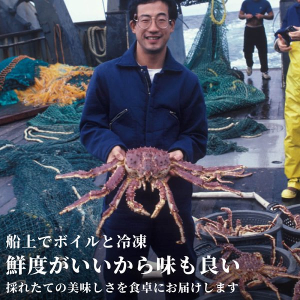 超特価／特大タラバガニ 5Lサイズ ボイル済み 肩付き 1kg 2kg 3kg 特大
