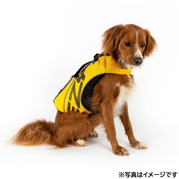 犬用品 新品タグ付き EZYDOG DFDスタンダード M ライフジャケット 中大型犬