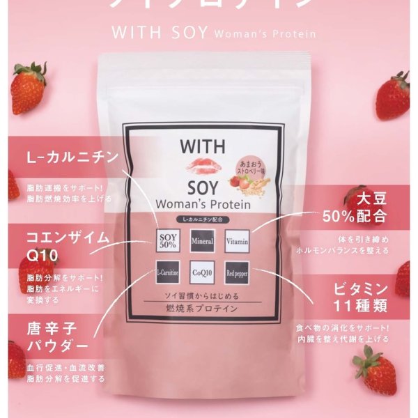 SET】ウィズソイ ウーマンズプロテイン 500g チョコレート味・あまおう 