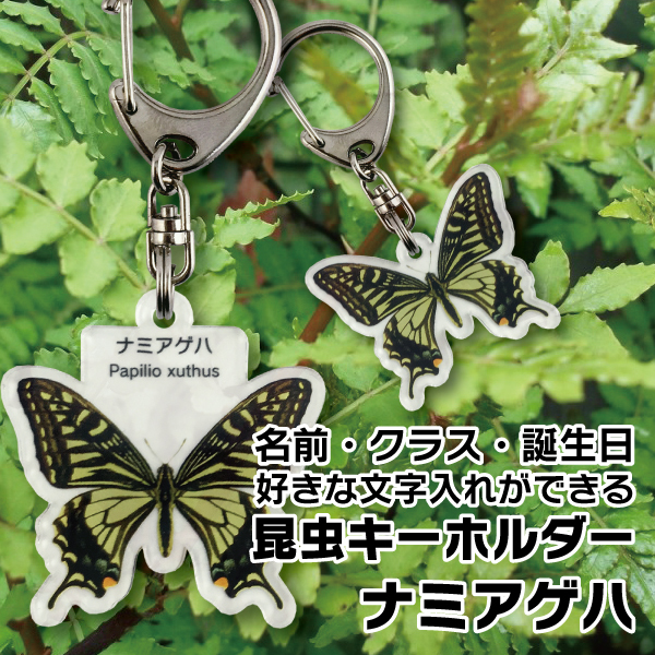 ゆうパケット発送 名入れ文字入れOK 昆虫キーホルダー ナミアゲハ