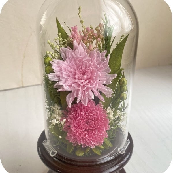 ガラスドーム　仏花　お供え仏花　和菊　白　法要　大 仏花 プリザーブドフラワー ガラスドーム お供え「菊花草