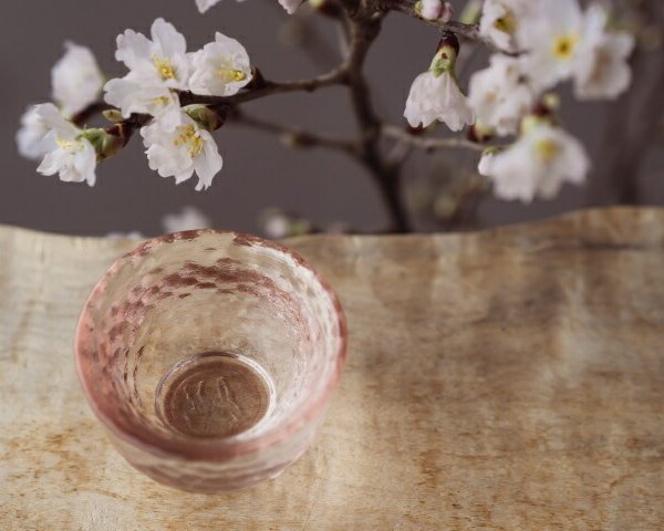 日本酒生貯蔵300シリーズ 5本セット(喜久水 生貯蔵酒本醸造(長野県) 金 