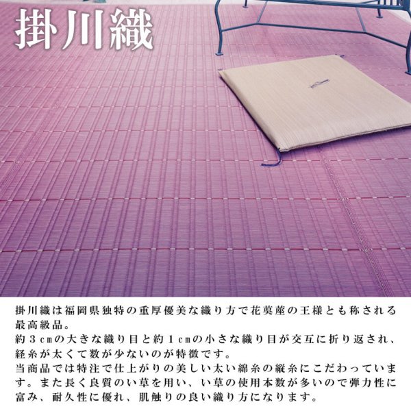 いぐさ ござ 261×261cm 最高級 江戸間4.5畳 花ござ いぐさ ござ ゴザ