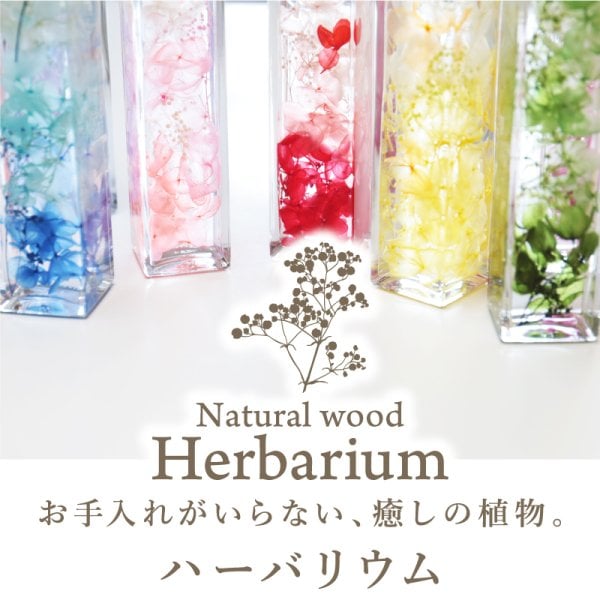名入れ】 ハーバリウム 名前 ギフト おしゃれ 完成品 プリザーブド 