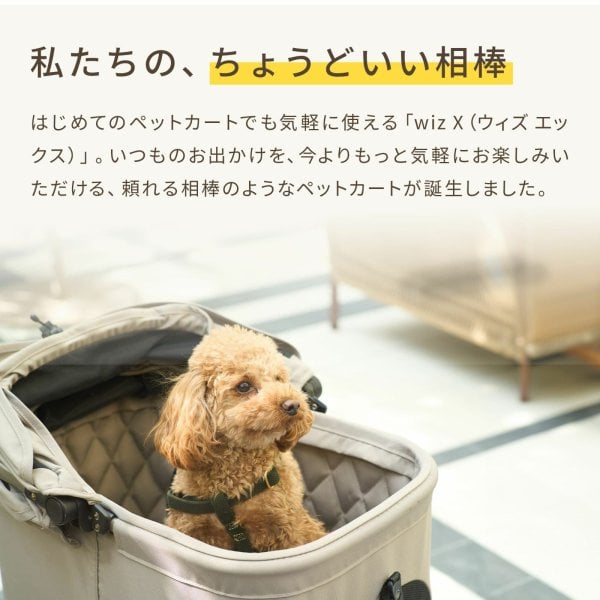 AIRBUGGY エアバギー フォー ペット ペットカート ウィズ エックス WIZ 
