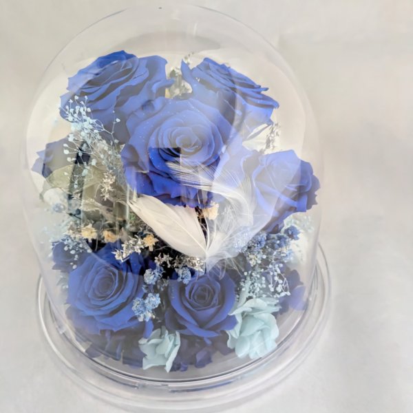 プリザーブドフラワー／青い薔薇11輪のラウンドドームギフト小花と白い