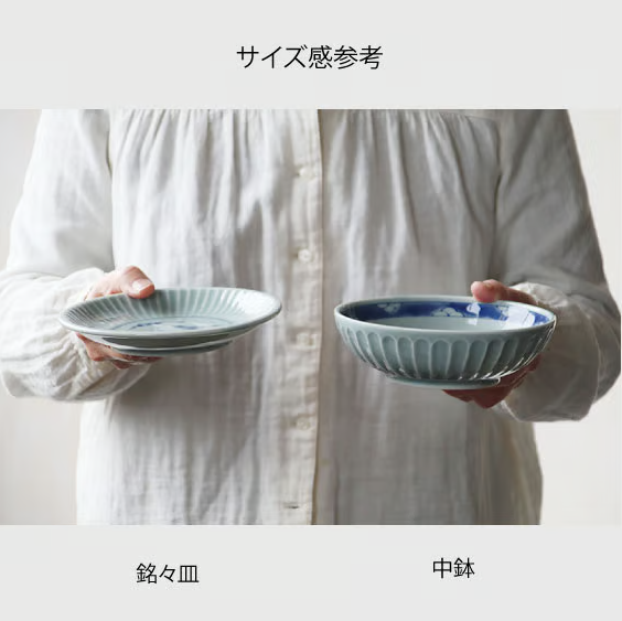美濃焼 食器 鎬竜 中鉢 15.5×4.5cm 江戸っ子 恐竜 お皿 鉢 プレート