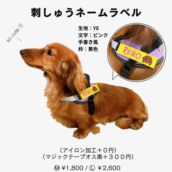 オーダーネームタグ ペットうちの子グッズ 犬種 イラスト うちの子