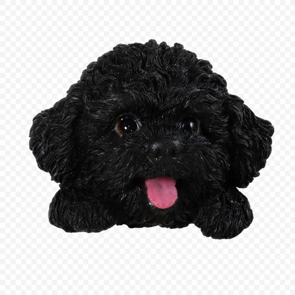 WOOBIA フェイスマグネット トイプードル 黒 犬 本物そっくり 立体