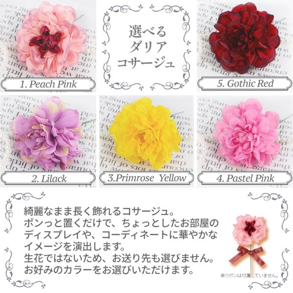 DIOR(ディオール) 【ギフトセット】ネイル リムーバー アブリコ 50 mL