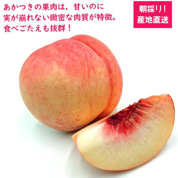 予約】長野県産 桃 あかつき 贈答用 秀品 約2/3/5キロ 果物 フルーツ 