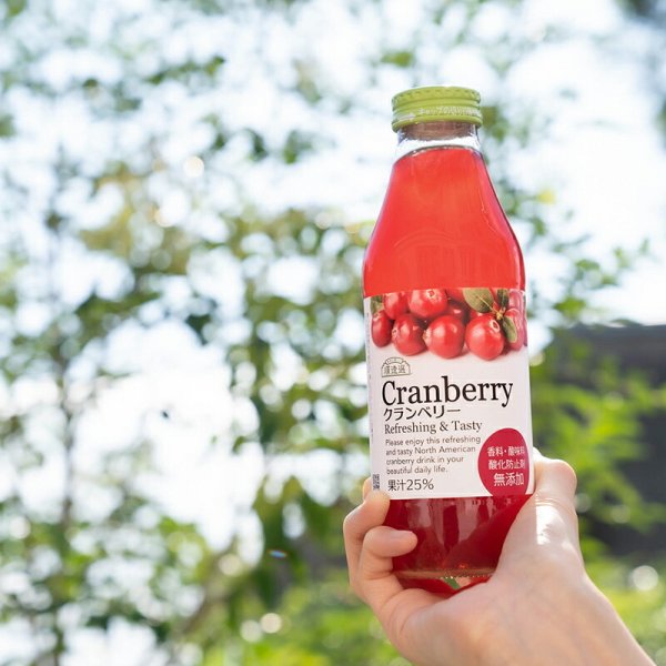 順造選 クランベリー25 500ml×12本セット ジュース ストレート 果汁25