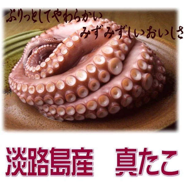 たこ販売 明石だこ 明石タコ