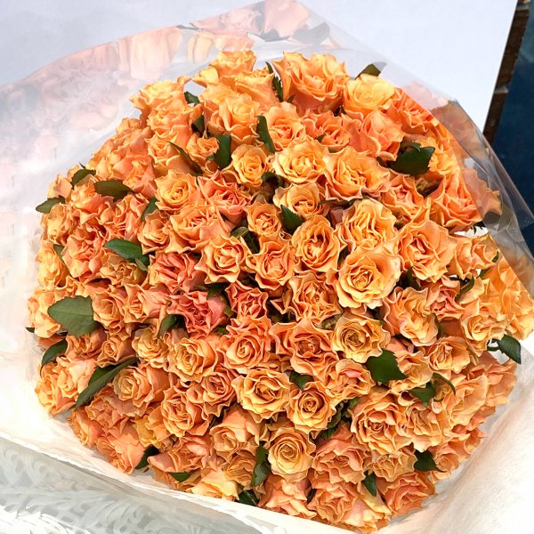 オレンジ バラ 100本の花束 カルピディーム+ 銀座の橙バラ ギフト 花束
