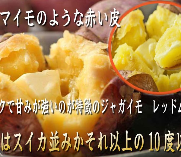 赤いじゃがいも レッドムーン 10kg 北海道産 送料無料 - 【スイート