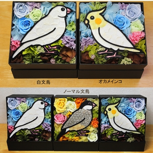 Flower Bird」プリザーブドフラワー 母の日 ギフト プレゼント 文鳥