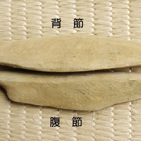 鰹節 かつお節 カツオ節 鹿児島県産 鰹本枯節 背節（250g）けずり 