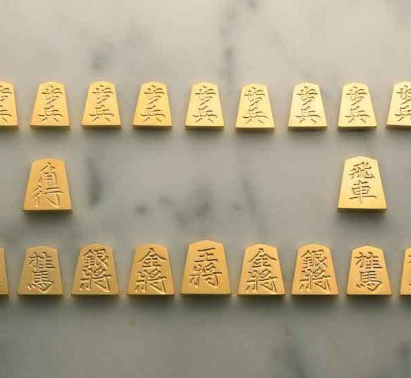 極 金の駒 24金 将棋駒 20駒 セット - 【Lifeit（ライフイット 