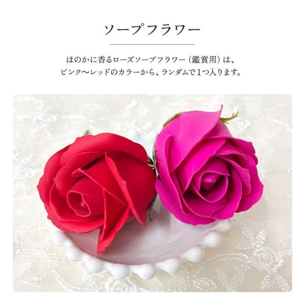 ロクシタン ハンドクリーム ギフトセット 女性 人気 誕生日プレゼント
