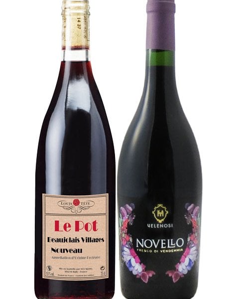 2025 ボジョレー + ノヴェッロ 750ml 飲み比べ 2本セット 【 8570 