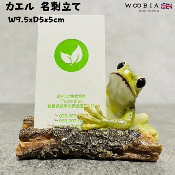 置物 カエル かわいい 名刺立て 蛙 縁起物 風水 woobia ウービア