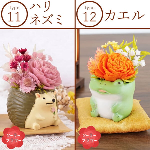 すぐ贈れるギフト 即日発送 お歳暮 お年賀 誕生日 プレゼント ギフト