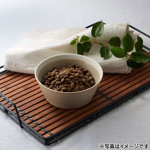 ソルビダ SOLVIDA ドッグフード グレインフリー チキン 室内飼育体重