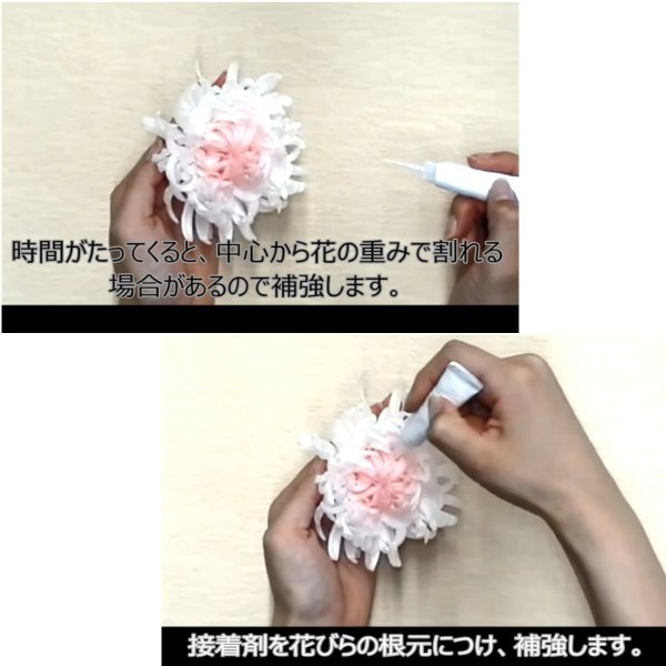 大地農園！ プリザーブドフラワー 「輪菊・中 白 6輪(1箱)」プリザ