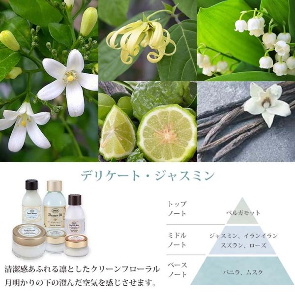 サボン SABON 全身ケアセット スクラブ ギフト ボディケア ヘアケア