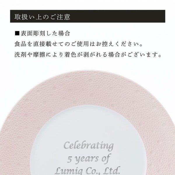 BERNARDAUD ベルナルド エキュム ローズ デザートプレート 21cm ペア
